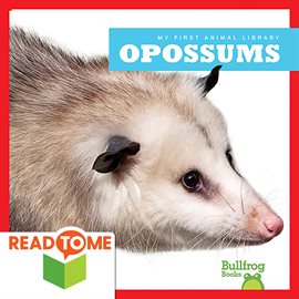 Cover image for Opossums