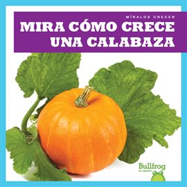 Cover image for Mira cómo crece una calabaza (Watch a Pumpkin Grow)
