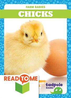 Cover image for Chicks