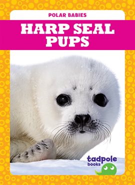 Imagen de portada para Harp Seal Pups