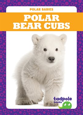 Cover image for Polar Bear Cubs