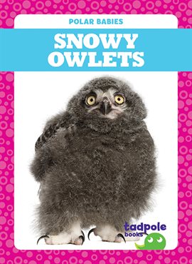Cover image for Snowy Owlets