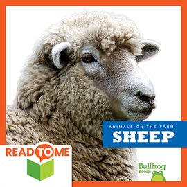 Cover image for Sheep