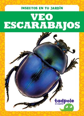 Cover image for Veo escarabajos (I See Beetles)