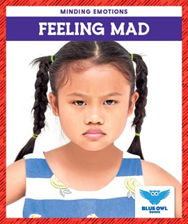 Cover image for Feeling Mad