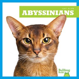 Cover image for Abyssinians
