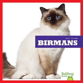 Cover image for Birmans