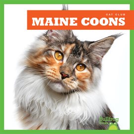 Cover image for Maine Coons