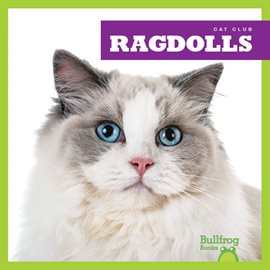 Cover image for Ragdolls
