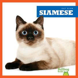 Cover image for Siamese