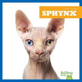 Cover image for Sphynx