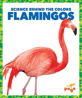 Imagen de portada para Flamingos