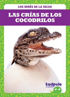 Cover image for Las crías de los cocodrilos (Crocodile Hatchlings)