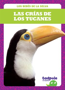Cover image for Las crías de los tucanes (Toucan Chicks)