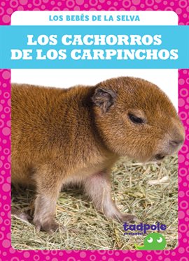 Cover image for Los cachorros de los carpinchos (Capybara Pups)