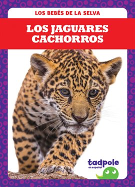 Cover image for Los jaguares cachorros (Jaguar Cubs)