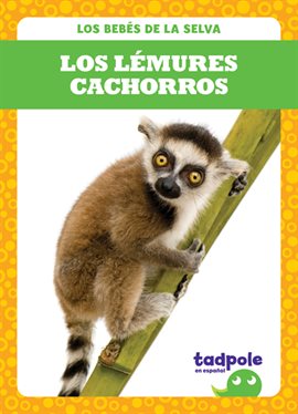 Cover image for Los lémures cachorros (Lemur Pups)
