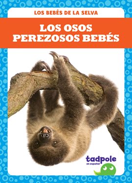 Cover image for Los osos perezosos bebés (Sloth Babies)