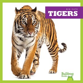 Cover image for Tigers