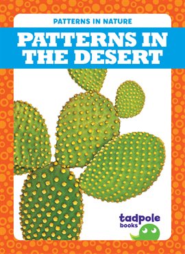 Cover image for Patterns in the Desert