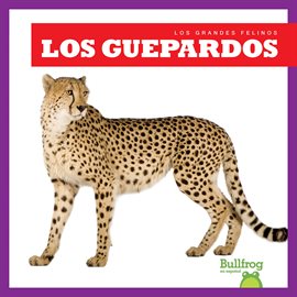 Cover image for Los guepardos (Cheetahs)