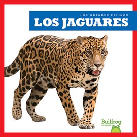 Cover image for Los jaguares (Jaguars)