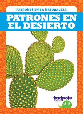 Cover image for Patrones en el desierto (Patterns in the Desert)