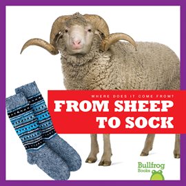 Cover image for From Sheep to Sock