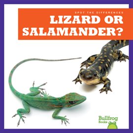 Imagen de portada para Lizard or Salamander?