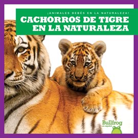 Cachorros de tigre en la naturaleza (Tiger Cubs in the Wild)