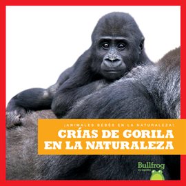 Crías de Gorila en la Naturaleza (Gorilla Infants in the Wild)