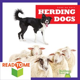 Cover image for Herding Dogs