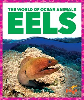 Cover image for Eels