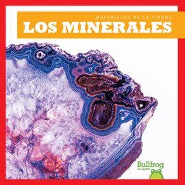 Cover image for Los minerales