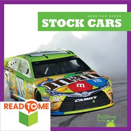 Cover image for Stock Cars