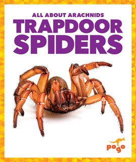 Cover image for Trapdoor Spiders