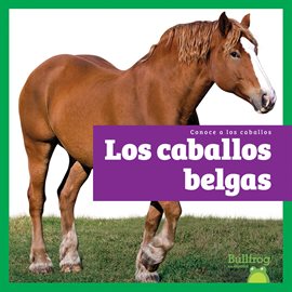 Los caballos belgas (Belgian Horses)