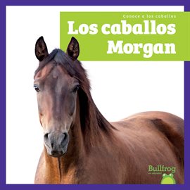 Los caballos Morgan (Morgan Horses)