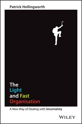 Cover image for The Light and Fast Organisation