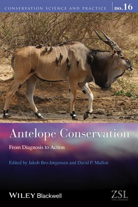 Cover image for Antelope Conservation