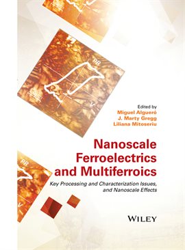 Cover image for Nanoscale Ferroelectrics and Multiferroics