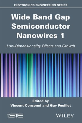 Imagen de portada para Wide Band Gap Semiconductor Nanowires 1