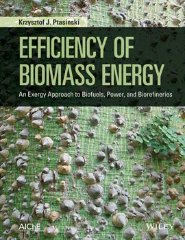 Cover image for Efficiency of Biomass Energy