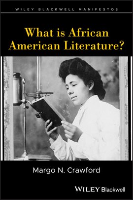 Cover image for What Is African American Literature?