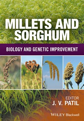 Cover image for Millets and Sorghum