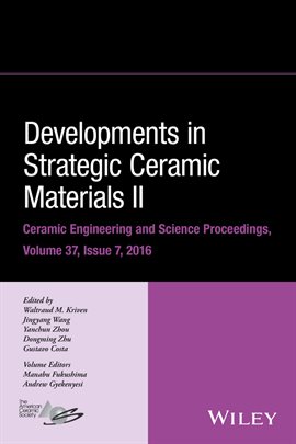 Cover image for Developments in Strategic Ceramic Materials II