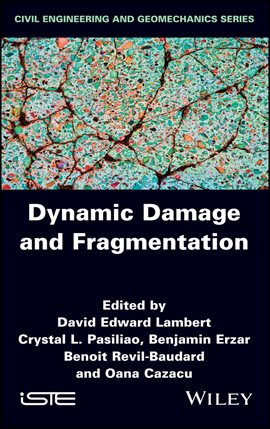 Imagen de portada para Dynamic Damage and Fragmentation
