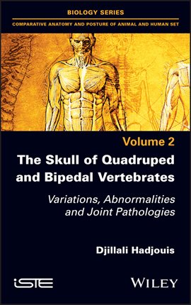 Cover image for The Skull of Quadruped and Bipedal Vertebrates