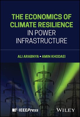 Cover image for The Economics of Climate Resilience in Power Infrastructure