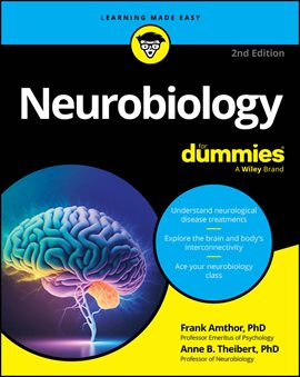 Cover image for Neurobiology for Dummies